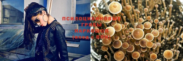 меф Долгопрудный