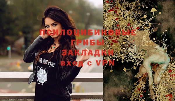 a pvp Кулебаки